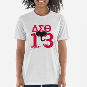 wholesale Delta Sigma Theta 13 elep …