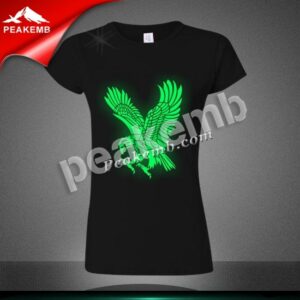 Factory Wholesale Glow in Dark Wing …